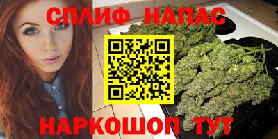 дмт Обнинск