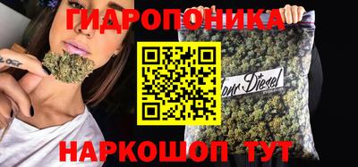 гашик Нягань