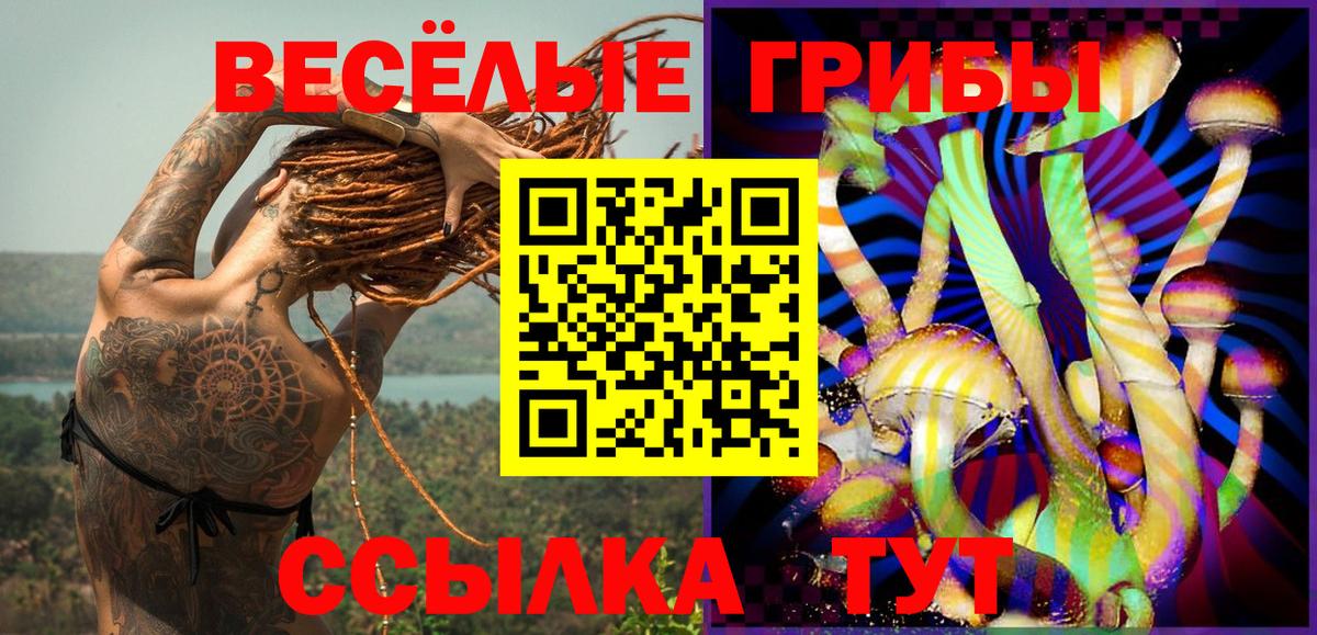 Черкесск  Псилоцибиновые грибы ЛСД  Вход с VPN  Псилоцибиновые грибы мухоморы 