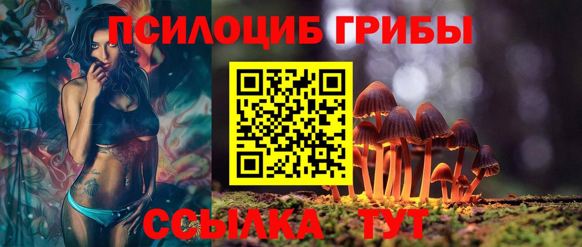 Псилоцибиновые грибы мухоморы Черкесск